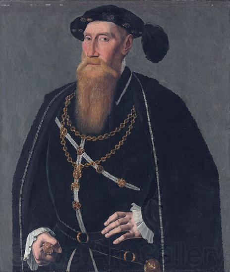 Jan van Scorel Portrait of Reinoud III van Brederode Norge oil painting art